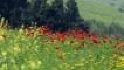 טבעי ביקנעם - תמונה 60 - imgi_38_nof1_jpg