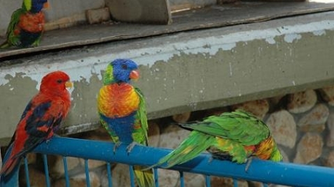 פארקים - תמונה 16 - imgi_58_Nahal_Keret6