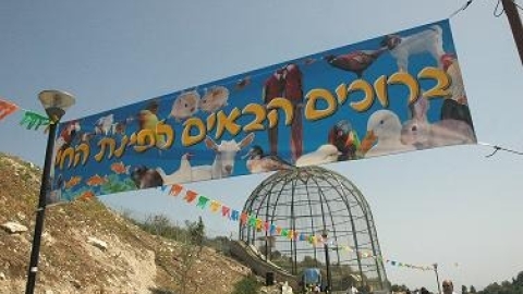 פארקים - תמונה 18 - imgi_60_Nahal_Keret8