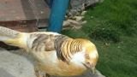 פארקים - תמונה 30 - imgi_21_Nahal_Keret4_jpg