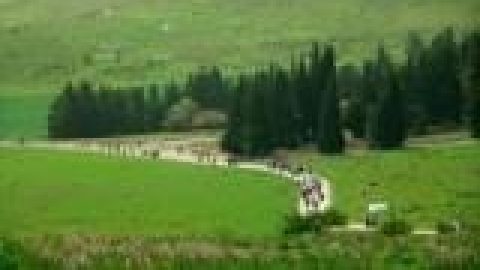 צעדות יקנעם - תמונה 36 - imgi_72_tsaada_2008_49_jpg