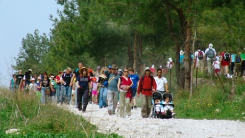 צעדות יקנעם - תמונה 65 - imgi_144_tsaada_2008_18