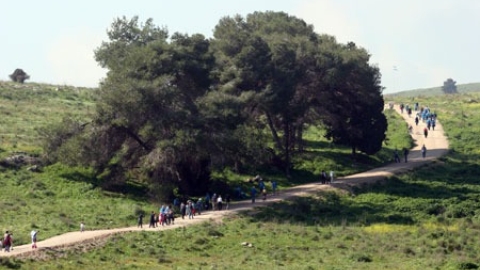 צעדות יקנעם - תמונה 79 - imgi_123_tsaada_2007_11
