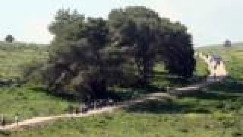 tsaada_2007_11_jpg.jpg