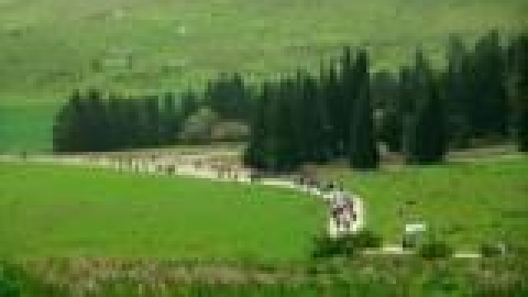 tsaada_2008_49_jpg.jpg