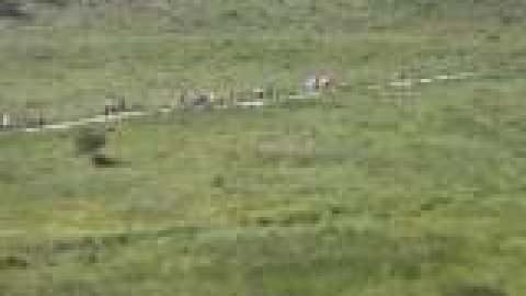 tsaada_2012_10_JPG.JPG
