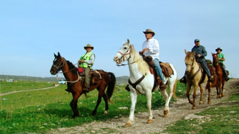tsaada_2008_7.jpg