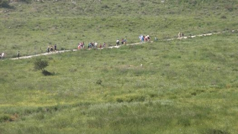 tsaada_2012_10.JPG