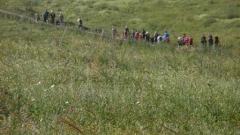 tsaada_2012_9.JPG